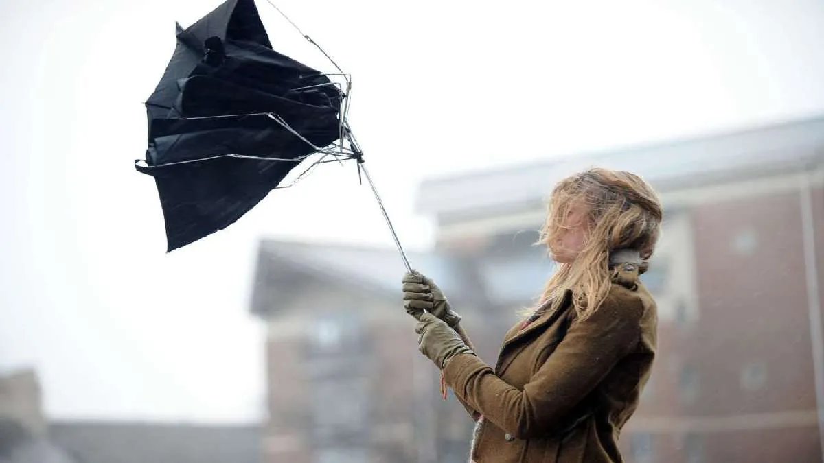 Порывы ветра, дожди и снег: погода в Украине 17 января