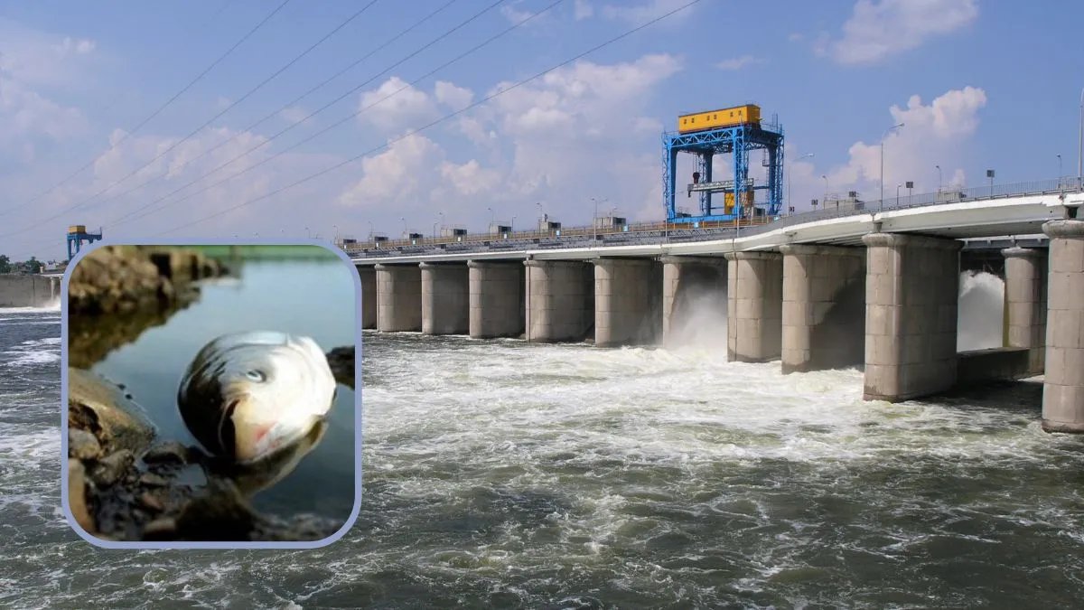 Новое экологическое преступление россии: обстрелы плотины Каховской ГЭС спровоцировали мор рыбы