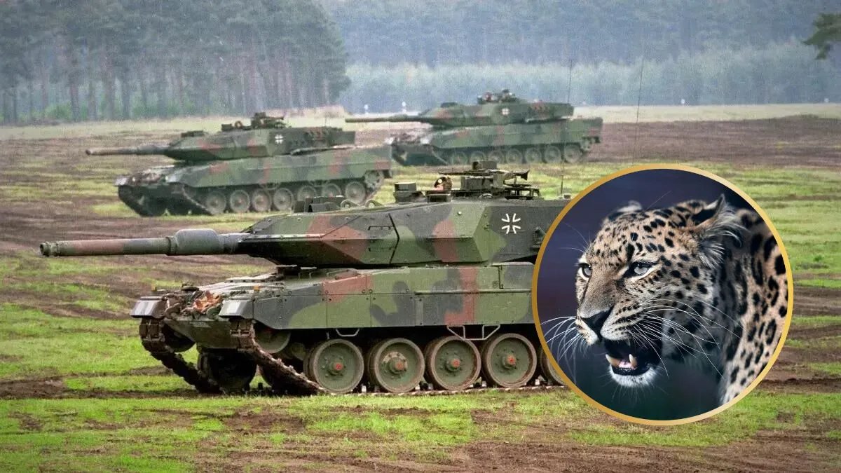 У росіян горить від передачі «Леопардів» Україні: вони запустили в мережу черговий фейк