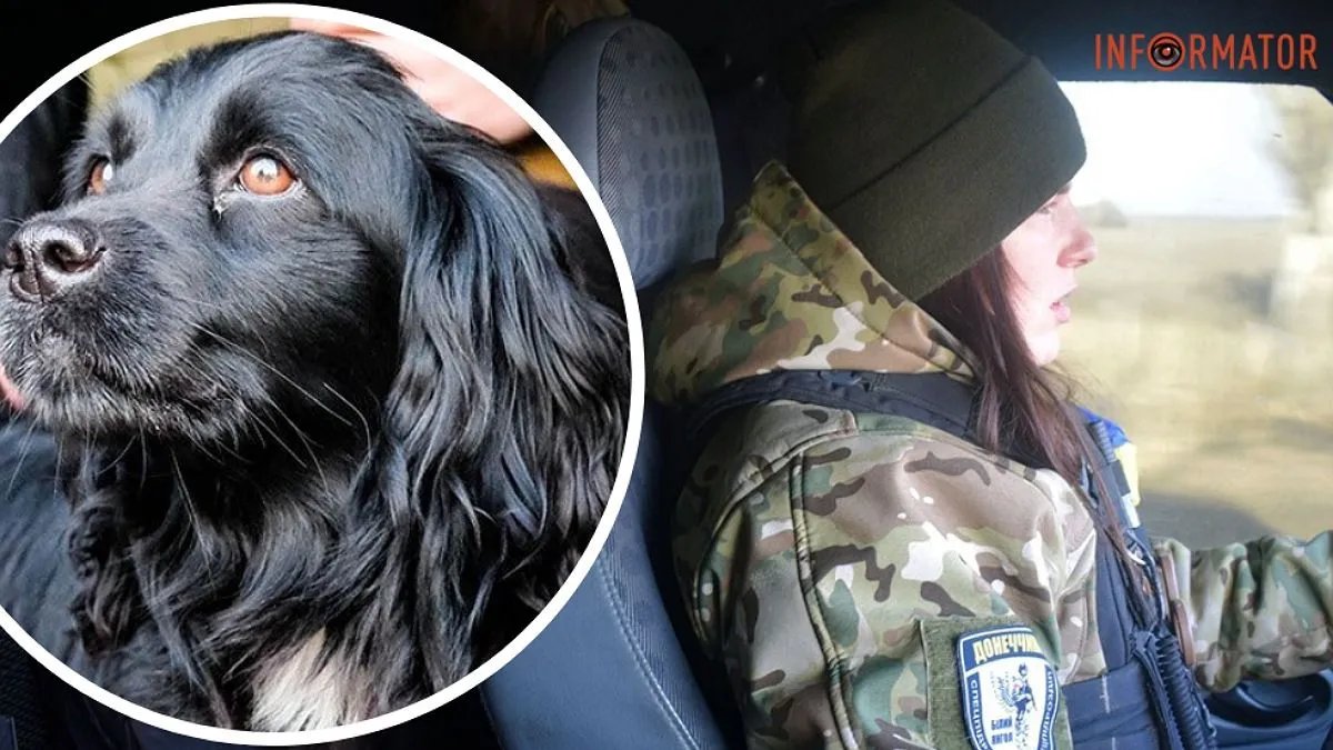 Сам приходить до відділку: як пес Блек з Лиману допомагає поліцейським евакуйовувати людей