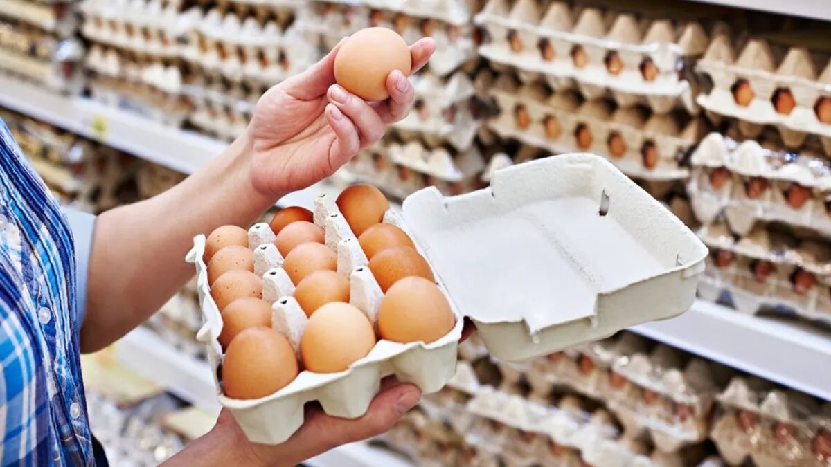 До курячих яєць в Україні підготували нові вимоги: що зміниться?