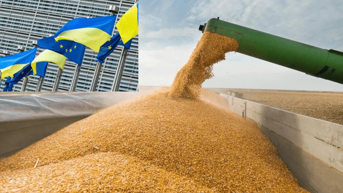 Єврокомісія провалила переговори з країнами ЄС про розблокування імпорту українського зерна