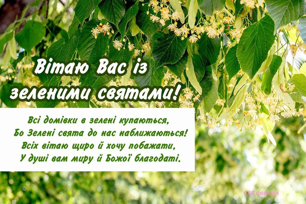 Вітаємо з Зеленими святами! Вітаємо з Зеленими святами!