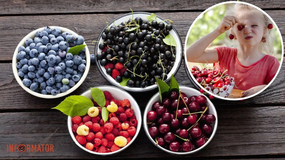 Чому лікарі інколи дозволяють їсти немиті ягоди