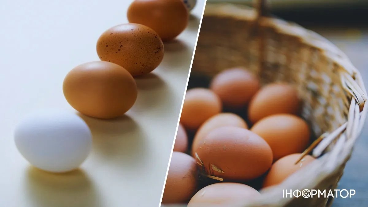 Вартість яєць в Україні зміниться: якими будуть нові ціни