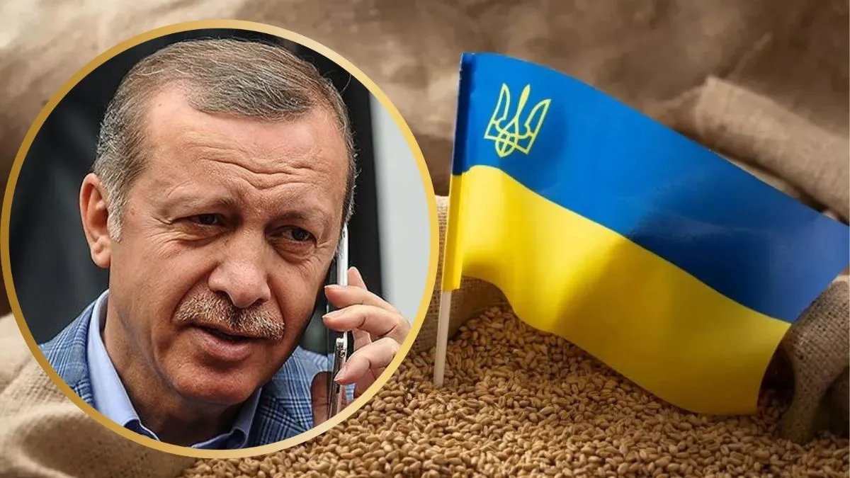 Туреччина заявила про плани продовжити “зернову угоду”