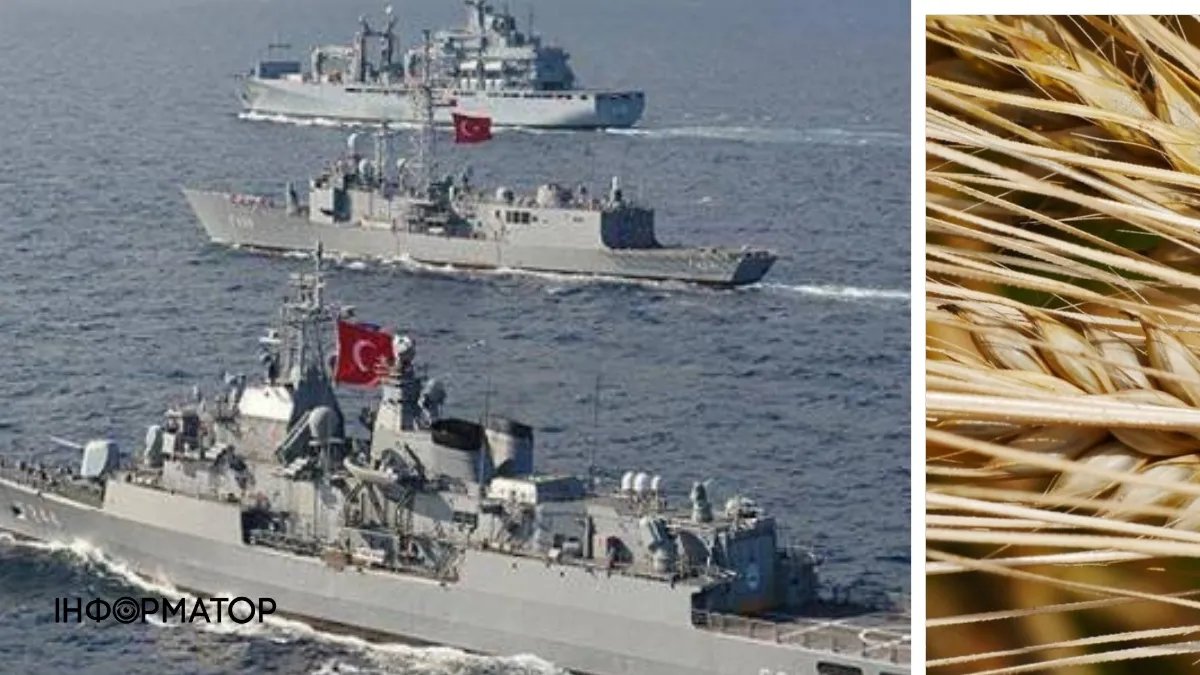 Турецькі ВМС забезпечуватимуть безпеку зернових коридорів, попри рішення рф: деталі