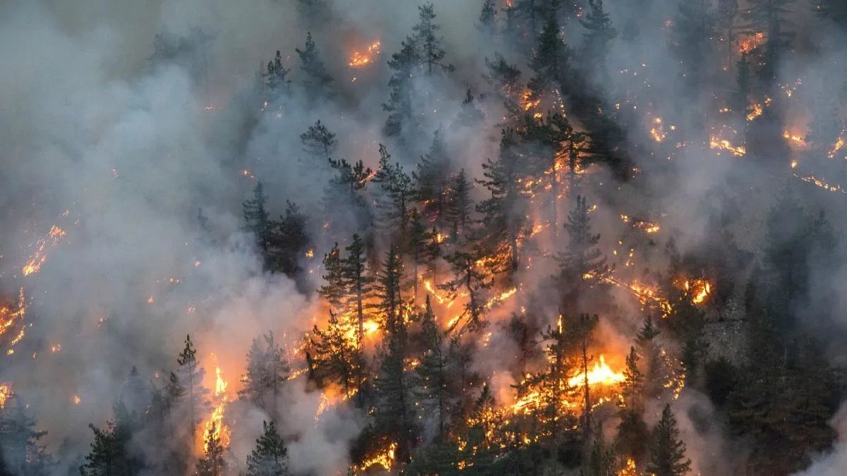 На острові в Іспанії горить ліс: вогонь охопив житлові будинки