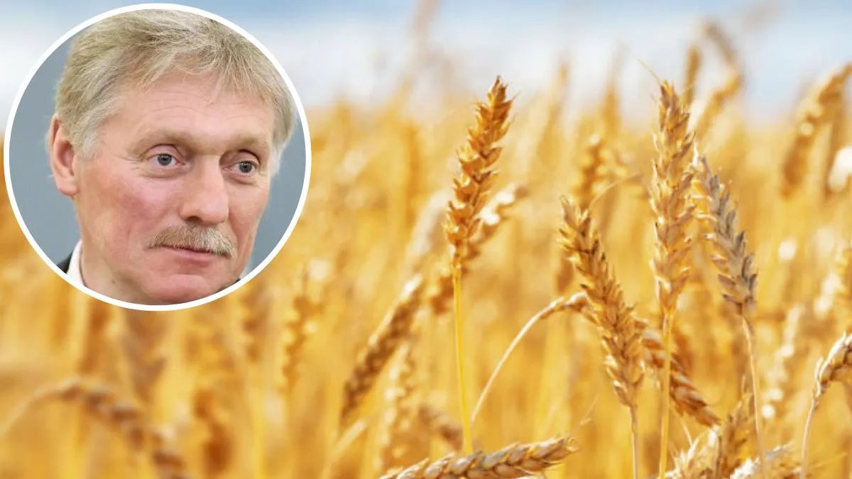 Росія заявила про припинення "зернової угоди": ціни на пшеницю миттєво злетіли