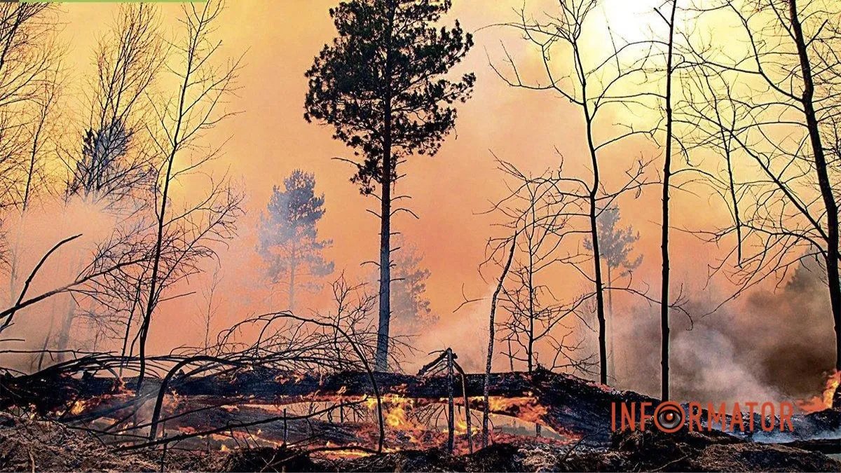Європа палає: через аномальну спеку континентом ширяться лісові пожежі - відео