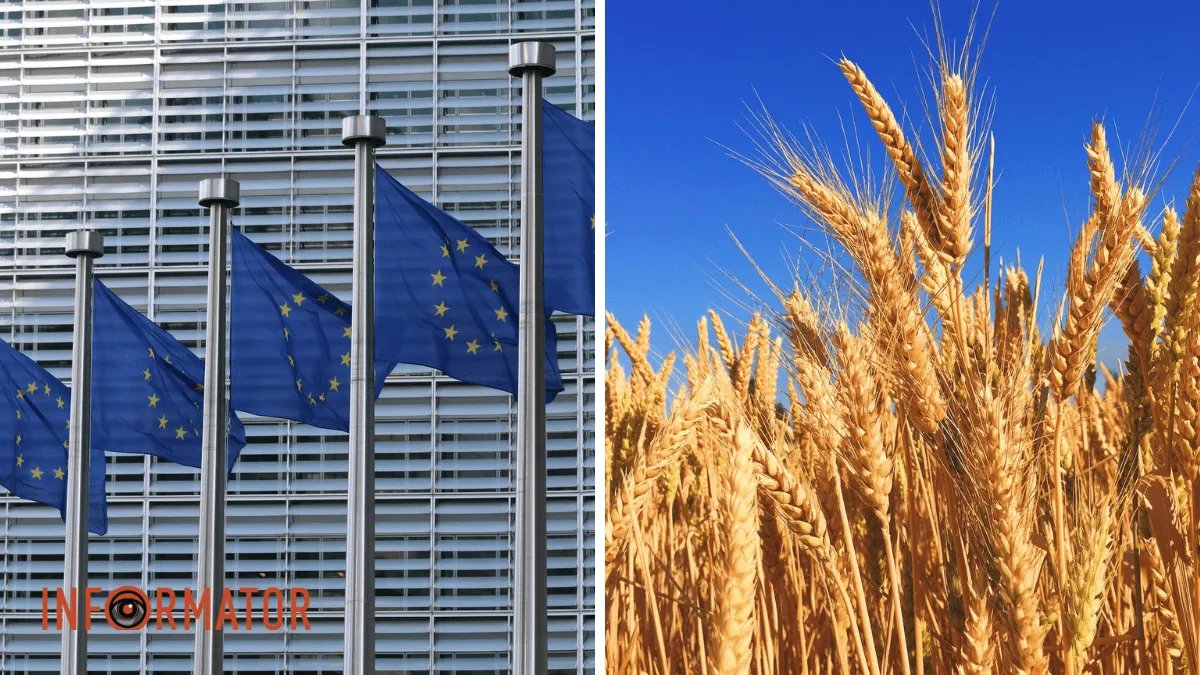 П’ять країн ЄС проситимуть продовжити заборону на імпорт зерна з України — Reuters