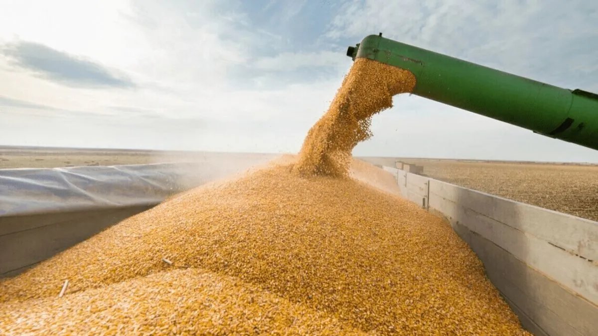 Російське зерно зараз вигідніше: ЄС планує обговорити субсидування експорту українського зерна