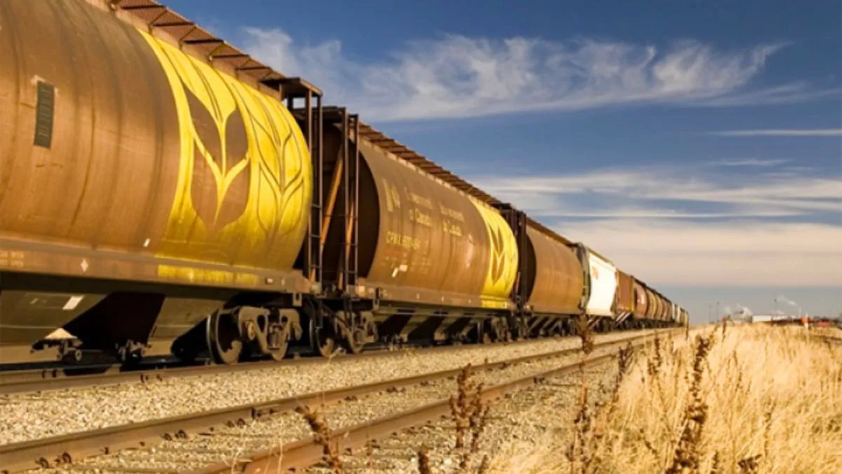 У Молдові зійшли з рейок 6 вагонів з українським зерном: залізниця назвала причину