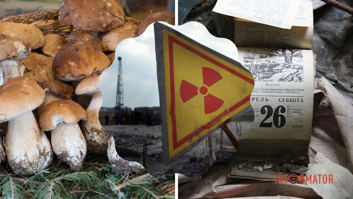Чорнобильська катастрофа: на півдні Німеччини дикі їстівні гриби все ще можуть бути забруднені радіоактивним цезієм