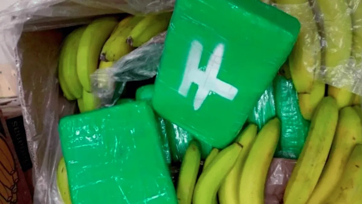 Ящик з бананами: у Чехії в супермаркеті знайшли понад 600 кг кокаїну