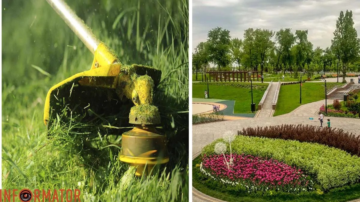 У парках Києва припинили косити траву - як це пояснюють в КМДА