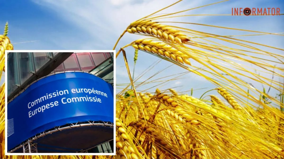 Ембарго на українське зерно: в ЄС не підтримали заклики сусідів України