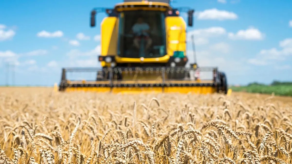 Польша, Венгрия и Словакия ввели запреты на украинское зерно