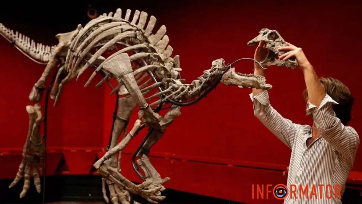 На аукціоні у Парижі виставляють скелет рідкісного динозавра "Баррі" - відео