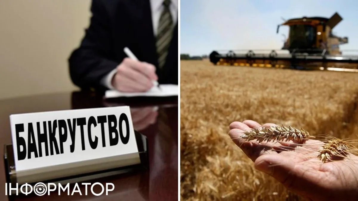 Українські аграрії прогнозують хвилю банкрутств: що повинна зробити держава