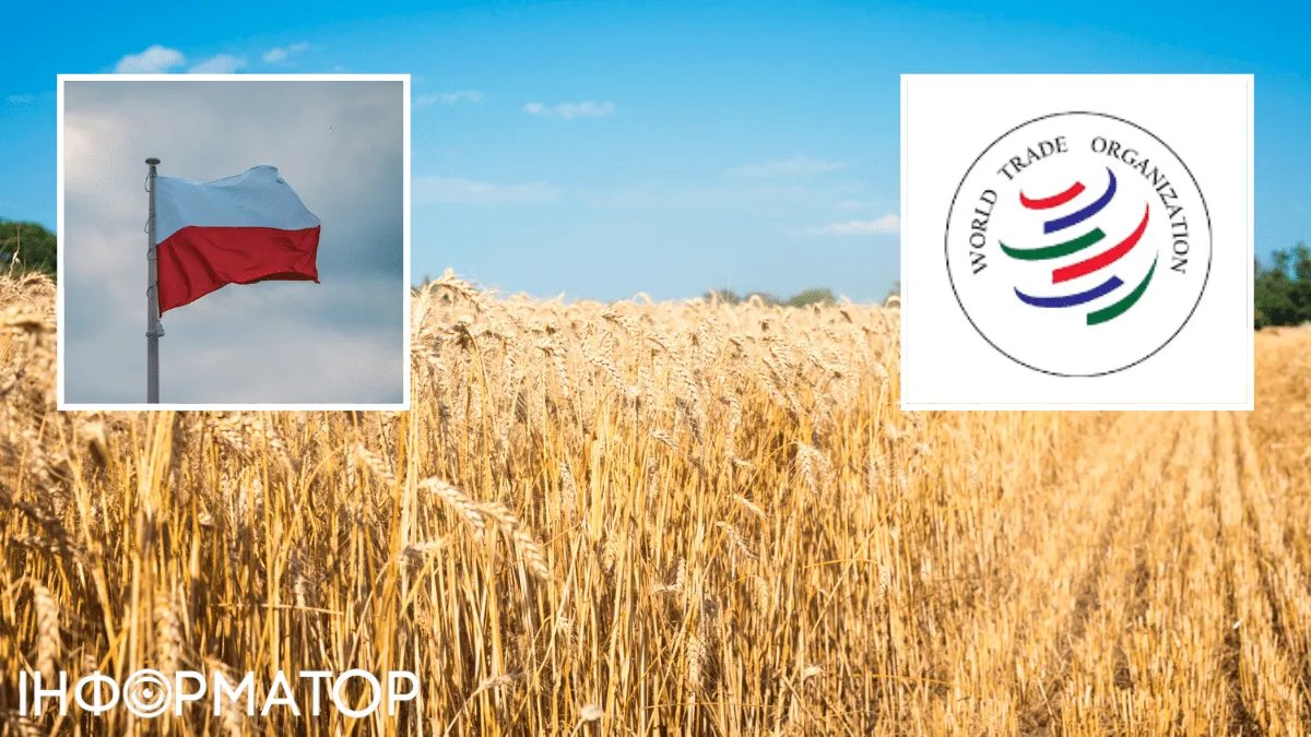 Польща незадоволена рішенням України “поставити на паузу” процес у СОТ через зерно: що про це відомо